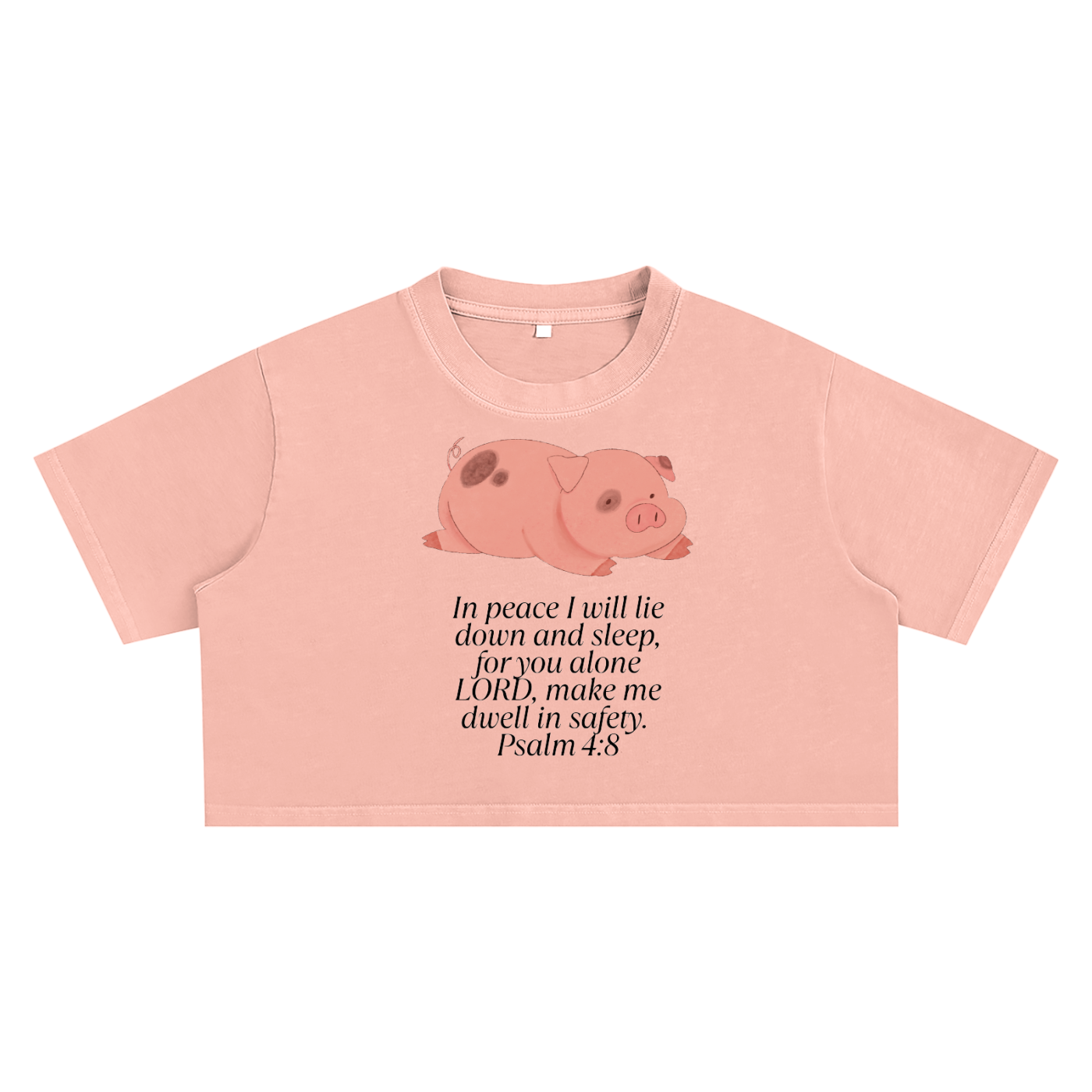 Sleeping Pig Crop Top