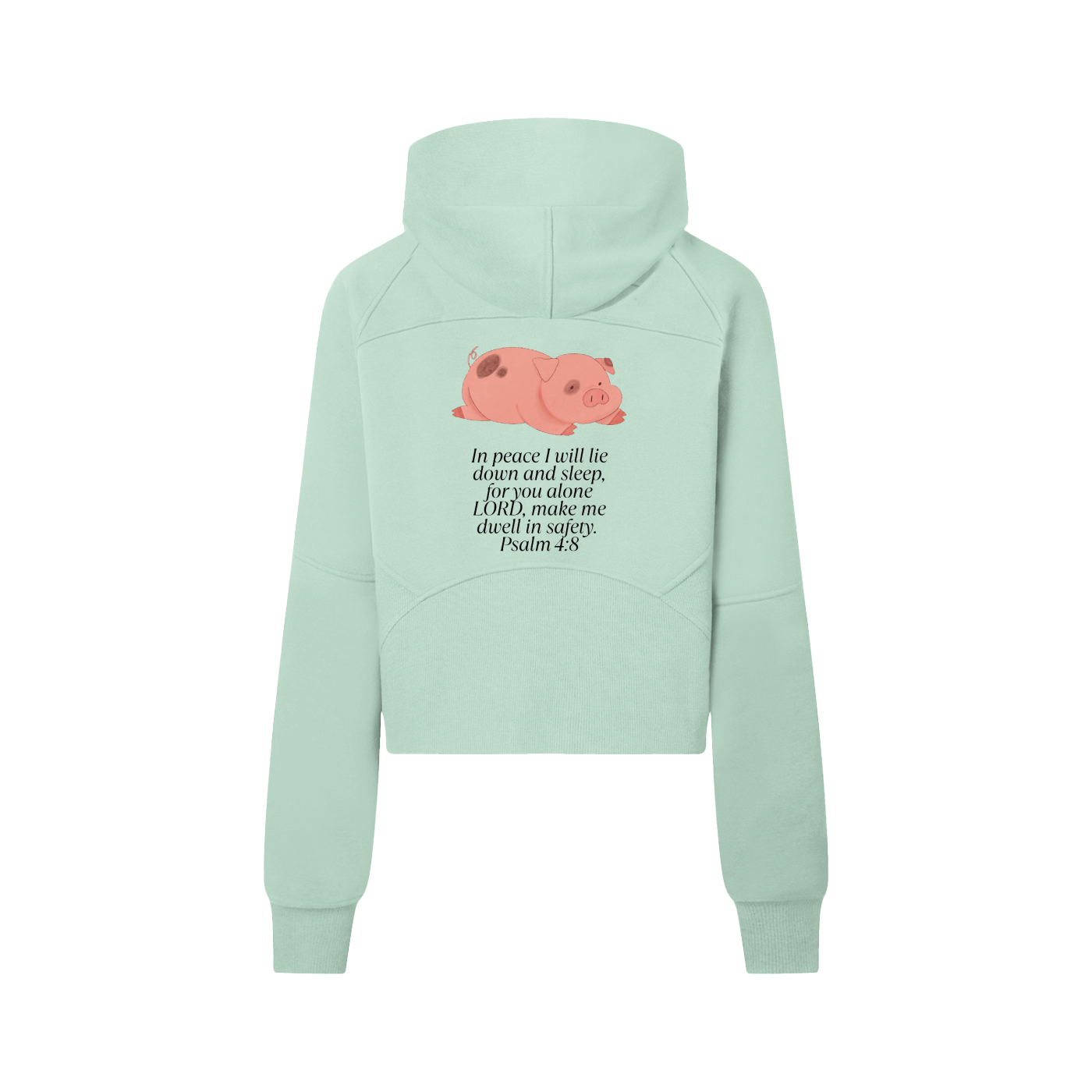 Sleeping Pig Half-Zip Hoodie